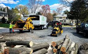 Best Commercial Tree Removal  in Hartford, MI